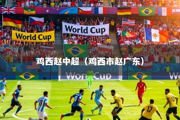 鸡西赵中超（鸡西市赵广东）
