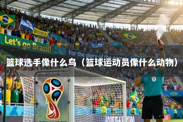 详细阅读:篮球选手像什么鸟(篮球运动员像什么动物) 篮球选手像什么鸟(篮球运动员像什么动物)