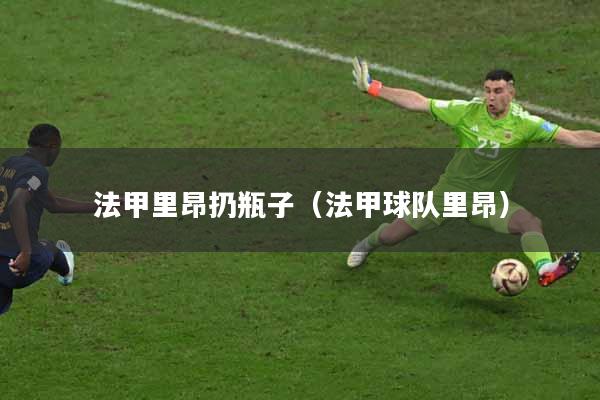 法甲里昂扔瓶子（法甲球队里昂）