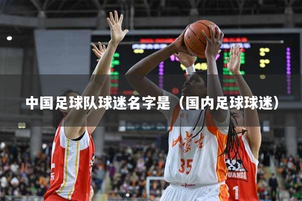 中国足球队球迷名字是（国内足球球迷）